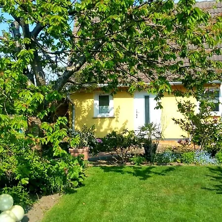 Sonneck Prázdninový dům *