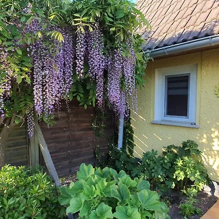 Prázdninový dům Sonneck Klockenhagen