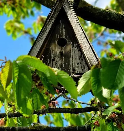 Feriehus Sonneck