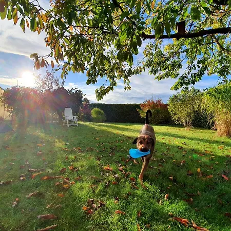 Sonneck * Klockenhagen