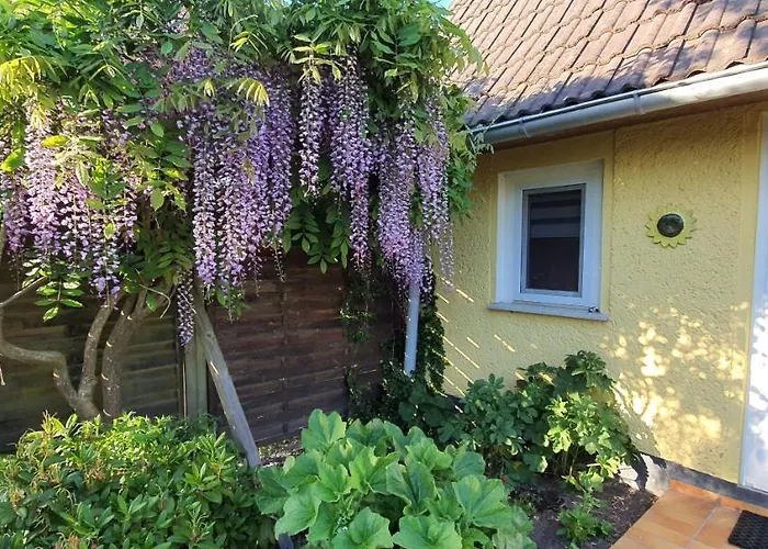 度假居 Sonneck Klockenhagen